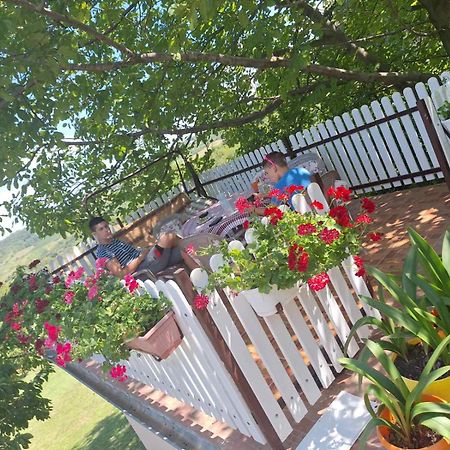 Guest House Jevtovic Sremski Karlovci Luaran gambar