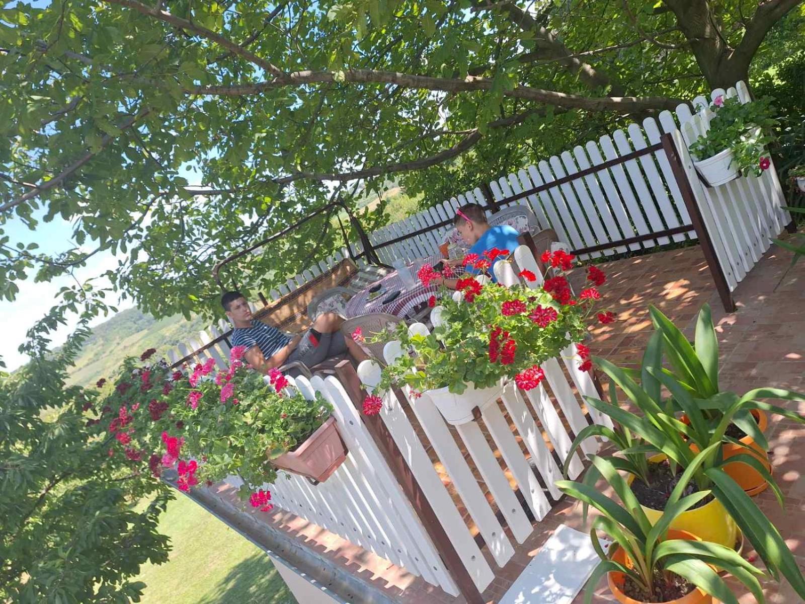 Guest House Jevtovic Sremski Karlovci Luaran gambar