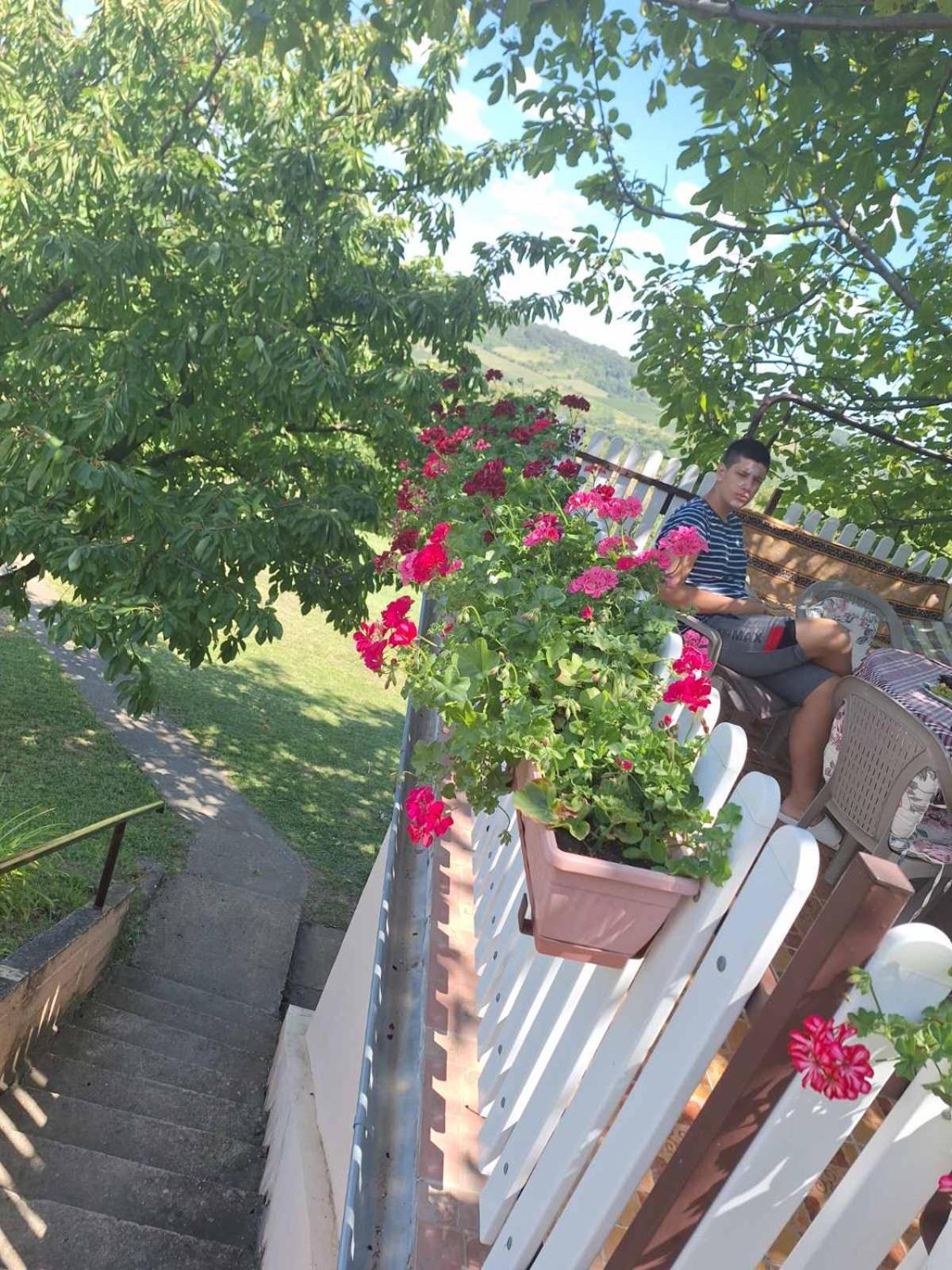 Guest House Jevtovic Sremski Karlovci Luaran gambar
