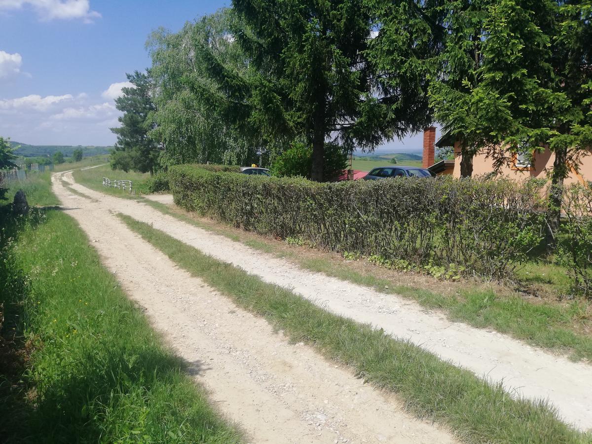 Guest House Jevtovic Sremski Karlovci Luaran gambar
