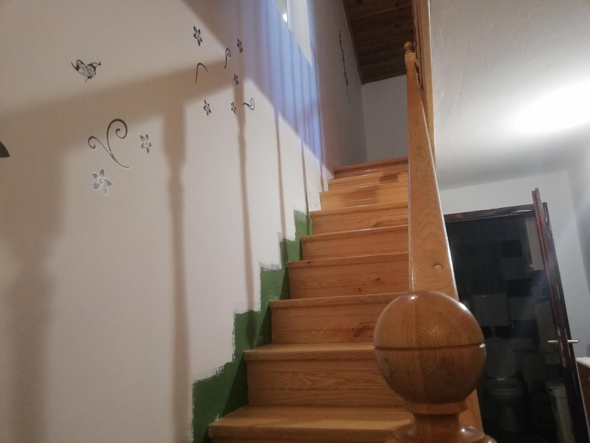 Guest House Jevtovic Sremski Karlovci Luaran gambar