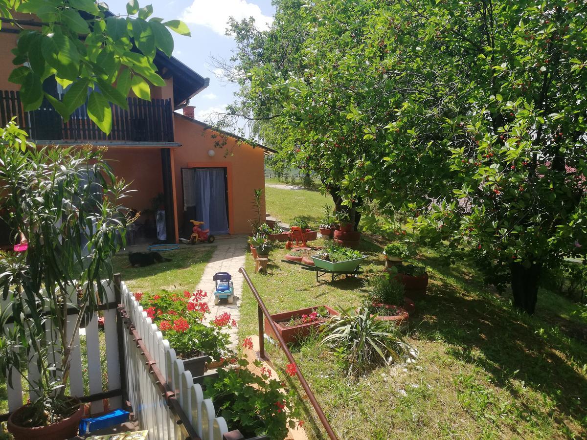 Guest House Jevtovic Sremski Karlovci Luaran gambar