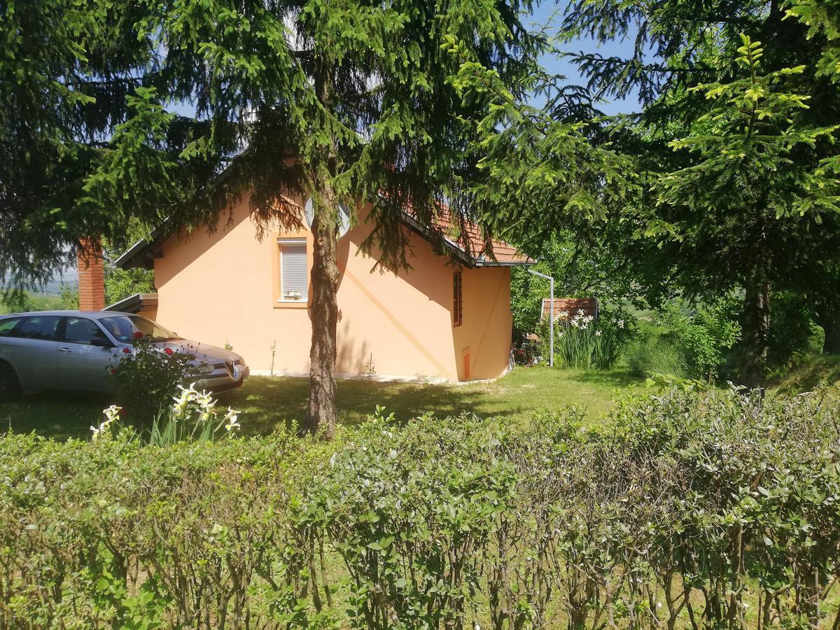 Guest House Jevtovic Sremski Karlovci Luaran gambar