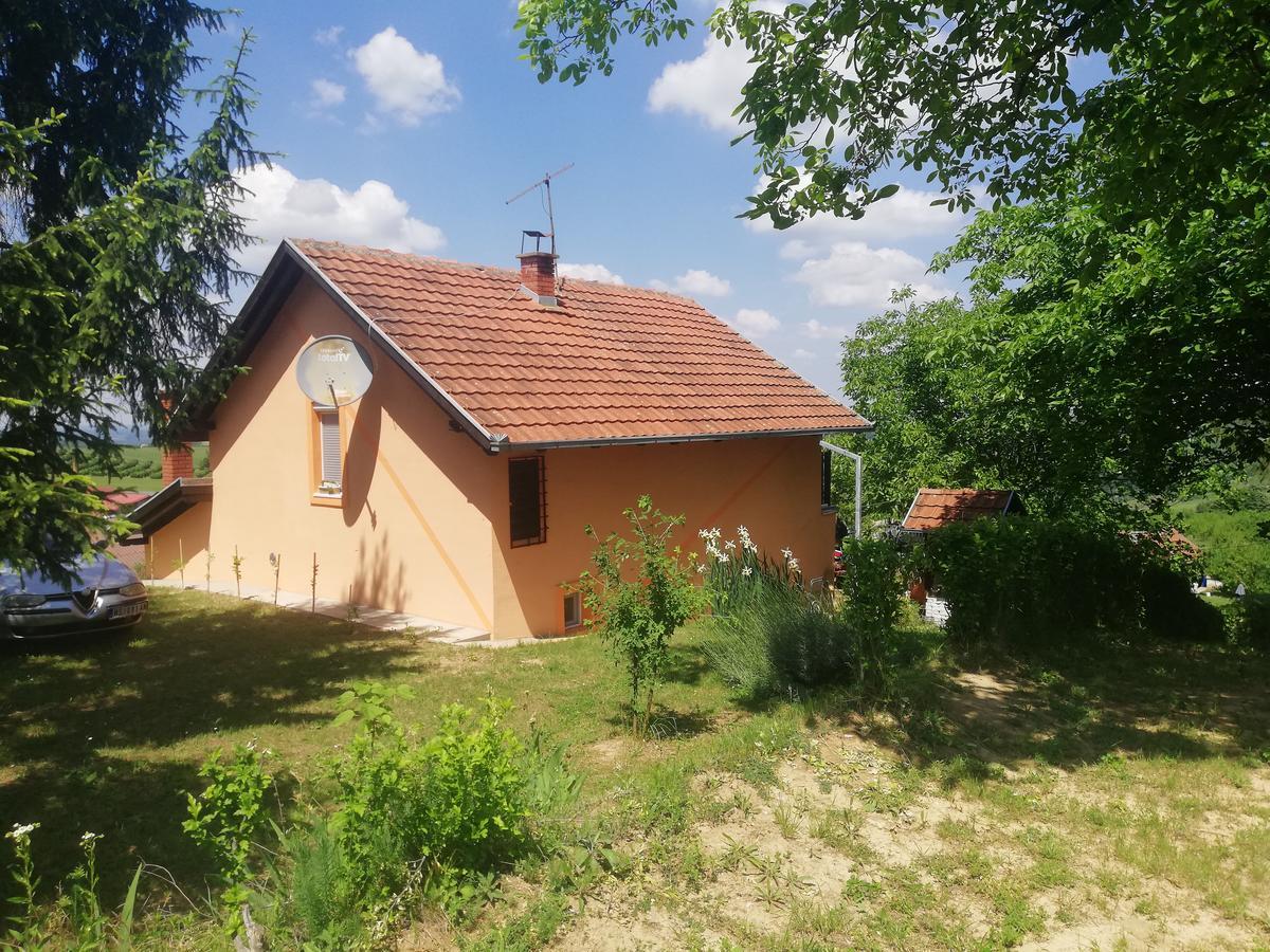 Guest House Jevtovic Sremski Karlovci Luaran gambar