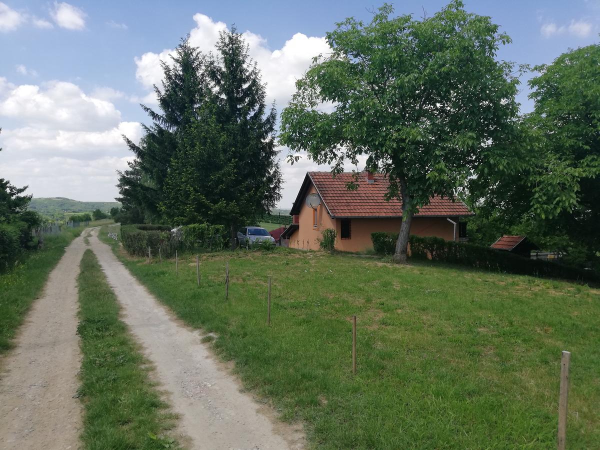 Guest House Jevtovic Sremski Karlovci Luaran gambar
