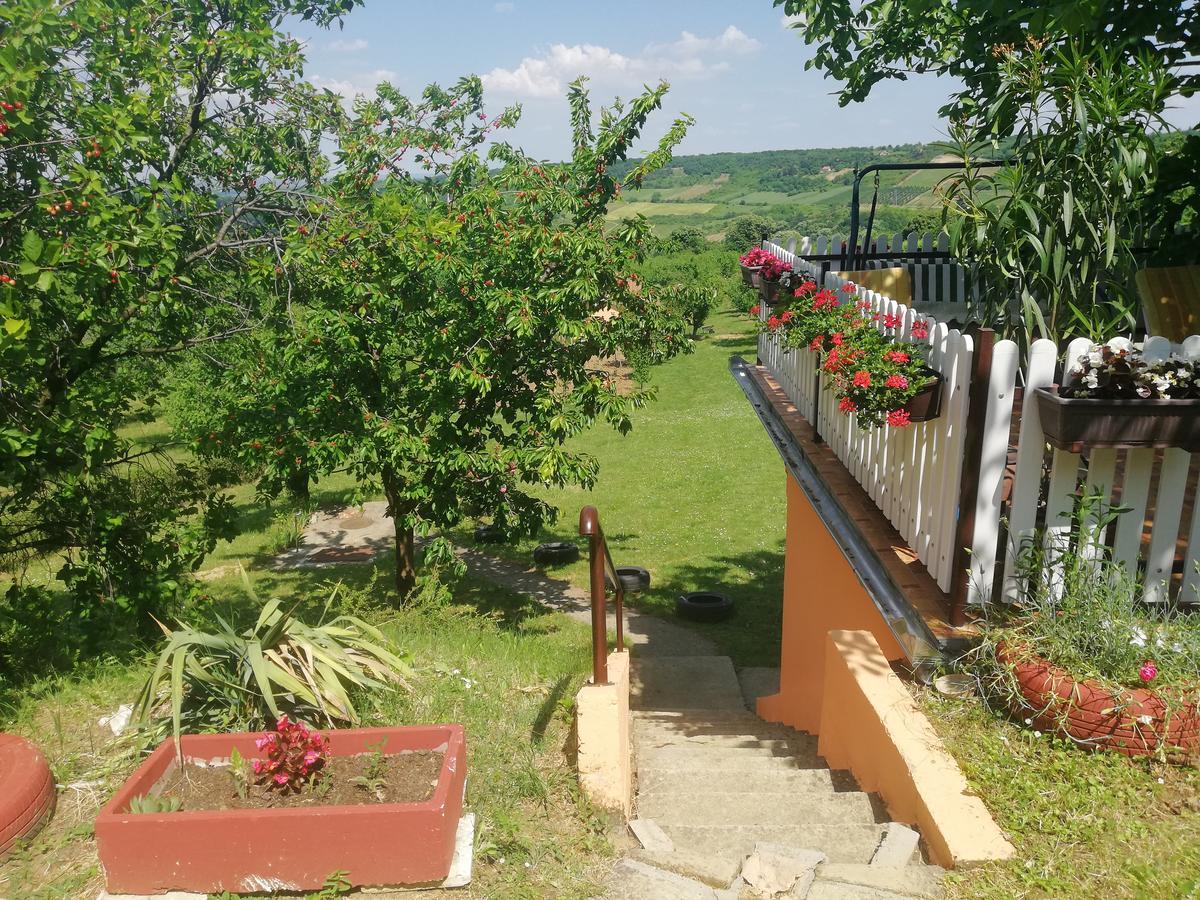 Guest House Jevtovic Sremski Karlovci Luaran gambar
