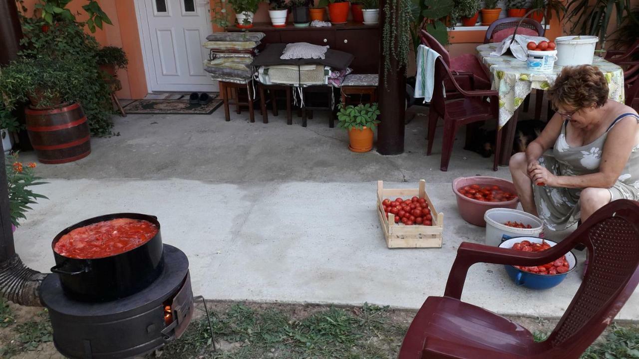 Guest House Jevtovic Sremski Karlovci Luaran gambar